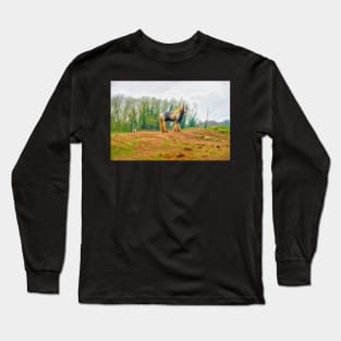 Gypsy Horse Long Sleeve T-Shirt